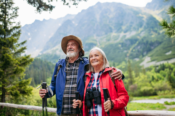 Active elderly couple hiking together in autumn mountains, on senior friendly trail. Senior spouses on the vacation in the mountains celebrating anniversary. Senior tourists with backpacks using trekking poles for stability.