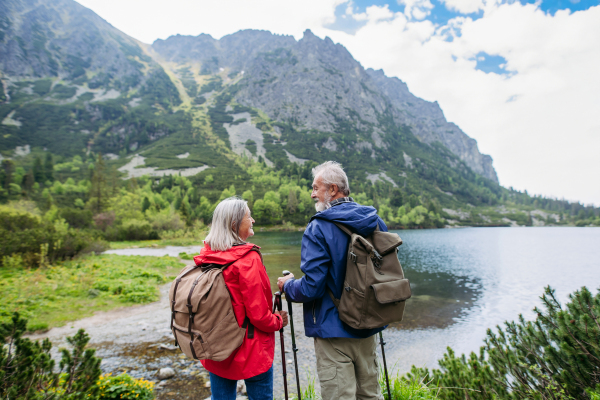 Rear view of active elderly couple hiking together in autumn mountains, on senior friendly trail. Senior spouses on the vacation in the mountains celebrating anniversary. Senior tourists with backpacks using trekking poles for stability.