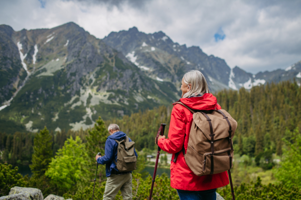 Rear view of active elderly couple hiking together in autumn mountains, on senior friendly trail. Senior spouses on the vacation in the mountains celebrating anniversary. Senior tourists with backpacks using trekking poles for stability.