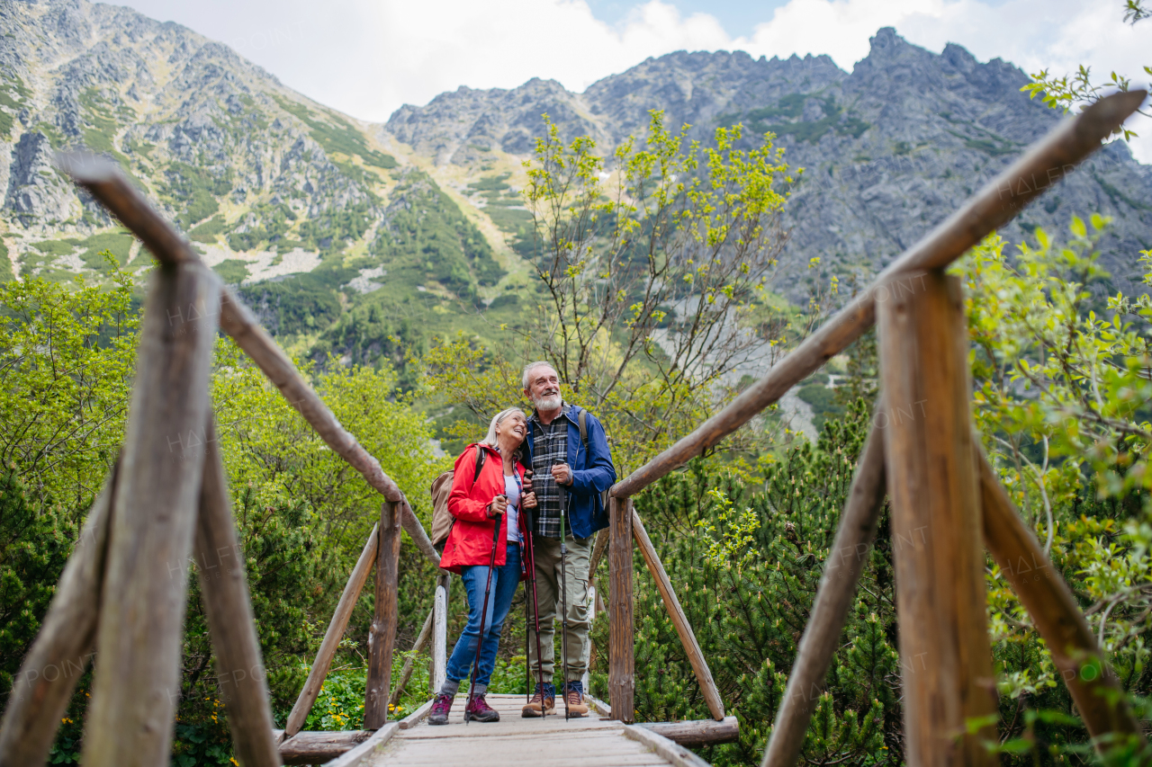 Portrait of beautiful active elderly couple hiking together in autumn mountains, on senior friendly trail. Senior spouses on the vacation in the mountains celebrating anniversary. Senior tourists with backpacks using trekking poles for stability.