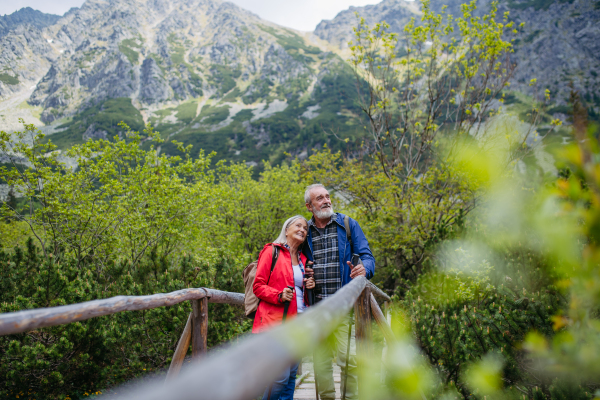 Portrait of beautiful active elderly couple hiking together in autumn mountains, standing on wooden bridge. Senior spouses on the vacation in the mountains celebrating anniversary. Senior tourists with backpacks using trekking poles for stability.