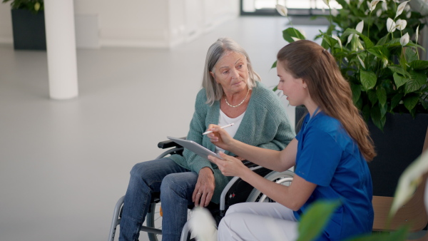 Young woman doctor taking care of senior woman at a wheelchair.