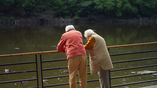 Happy senior couple at autumn walk near a lake, having a break and feeding ducks.