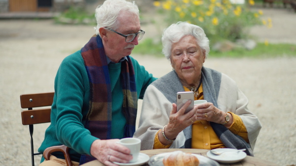 Happy senior couple in forest buffet resting after walk, having a beer and looking at smartphone.