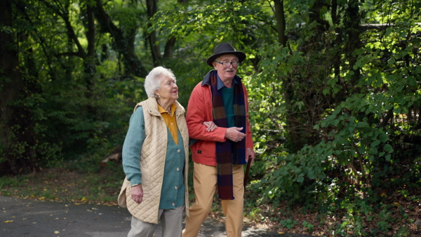 Happy senior couple in autumn clothes walking in park together.