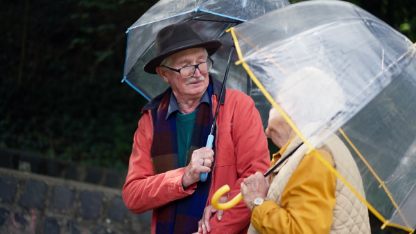 Rear view of senior couple walking with umbrellas in a park together.