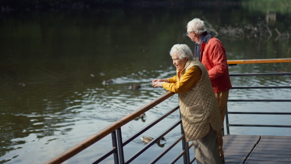 Happy senior couple at autumn walk near a lake, having a break and feeding ducks.