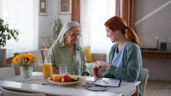 Nurse cosulting with senior woman her health condition at her home.