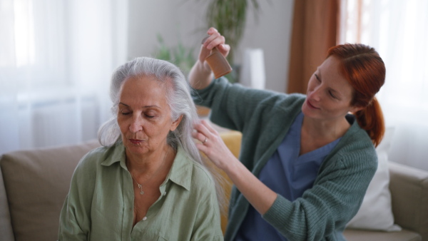 Nurse combing her senior client at the home.