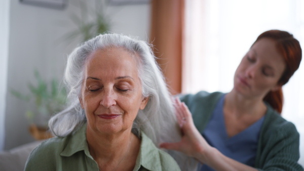 Nurse combing her senior client at the home.