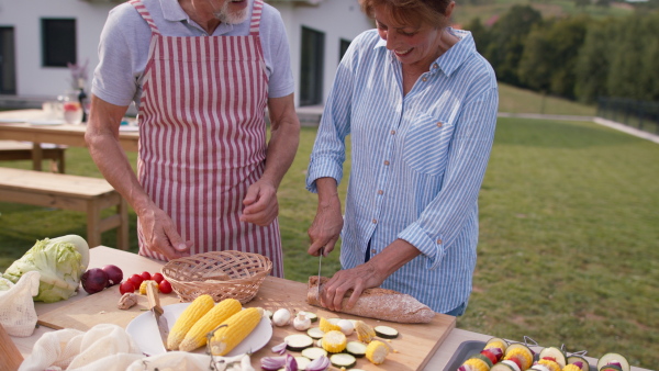 Senior couple preparing bbq food, meat and vegetables to have summer party in garden.