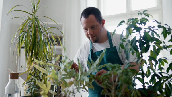 A young man with Down syndrome taking care of plants at home, smiling and looking at camera.