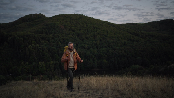 Male hiker walking alone in tranquil nature at dusk. Dark calm ambient.