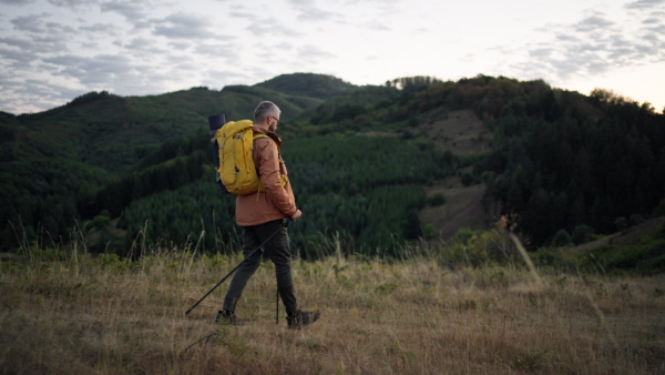 Male hiker walking alone in tranquil nature at dusk. Dark calm ambient.