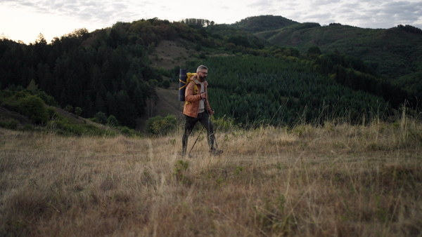 Mature man walking alone in nature on early morning.