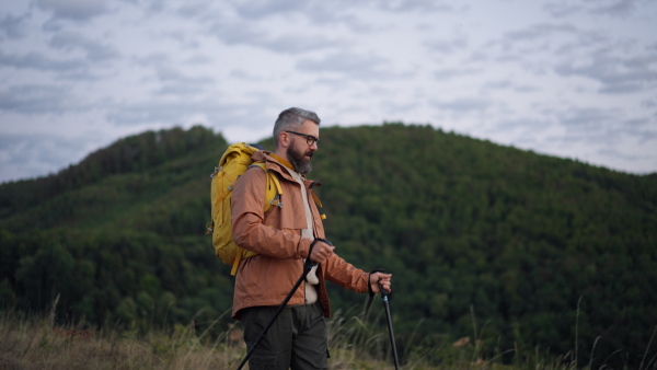 Mature man walking alone in nature on early morning.