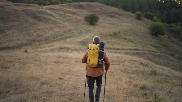 Mature man walking alone in nature on early morning. Rare view.