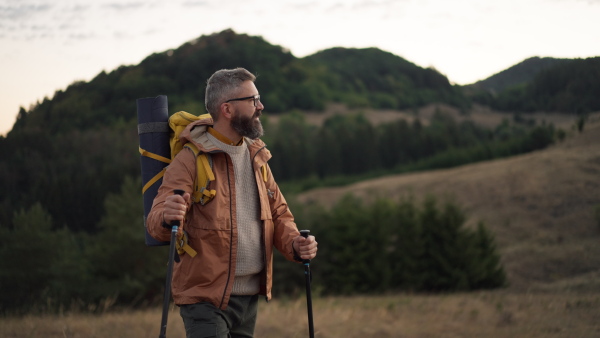 Portrait of man hiking in nature on early morning, looking into camera.