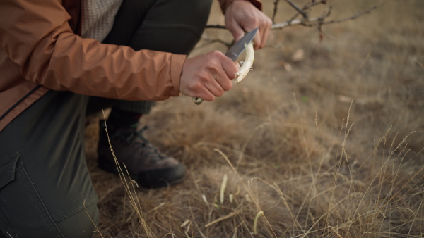 Close up of unrecognizable man trimming a branch with knife in nature.