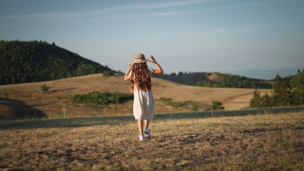 A video of a beautiful little girl walking on meadow. Rear view.