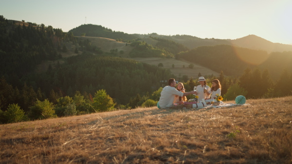 A happy family with children having picnic in park.