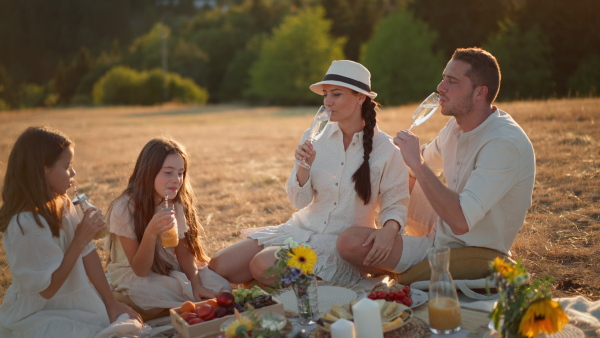 A happy family with children having picnic in park.