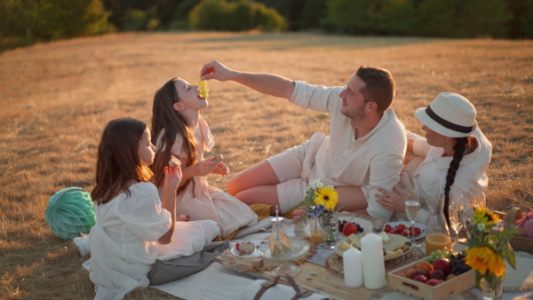 A happy family with children having picnic in park.