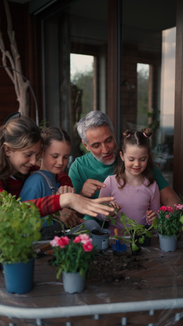 Three daughters helping a father to plant flowers, home gardening concept