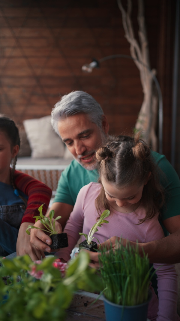 A vertical footage of little daughter helping father to plant and water flowers, home gardening concept