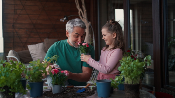 A little daughter helping father to plant and water flowers, home gardening concept