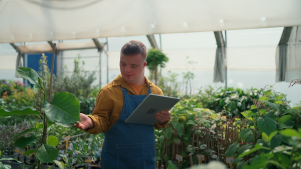 A young employee with Down syndrome working in garden centre, typing on tablet.