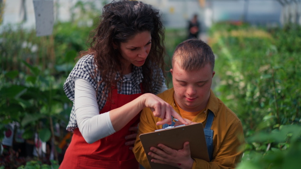 An experienced woman florist helping young employee with Down syndrome to check flowers on tablet in garden centre.