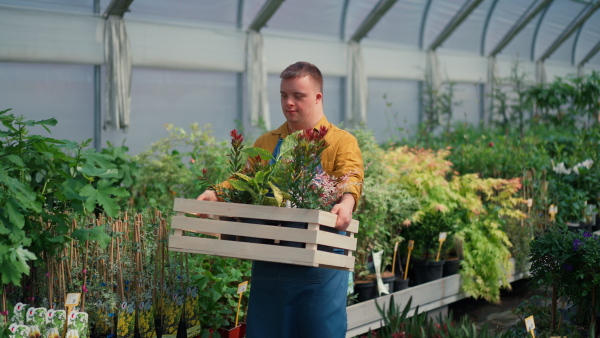 A young man with Down syndrome working in garden centre, carrying crate with plants.