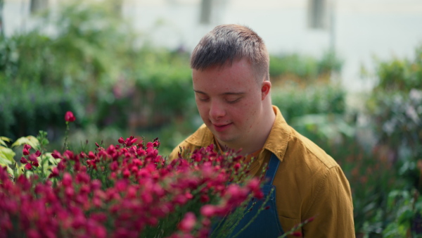 A happy young employee with Down syndrome working in garden centre, taking care of flowers.