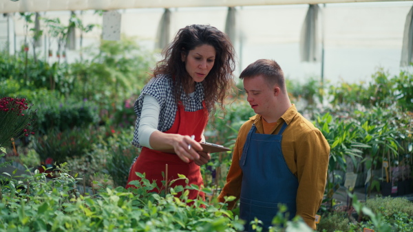 An experienced woman florist helping young employee with Down syndrome to check flowers in garden centre.