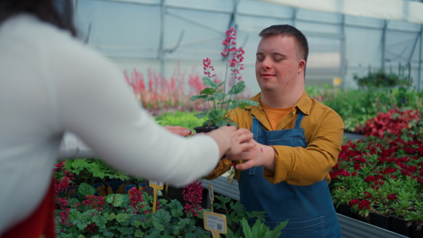 An experienced woman florist helping young employee with Down syndrome in garden centre.