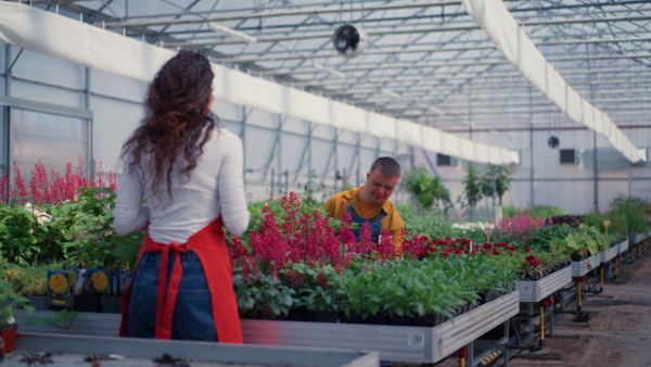 An experienced woman florist helping young employee with Down syndrome in garden centre.