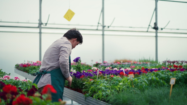 A happy young employee with Down syndrome working in garden centre, taking care of flowers.