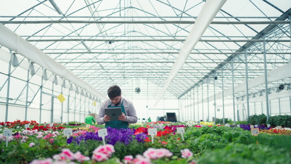 A young employee with Down syndrome working in garden centre, typing on tablet.