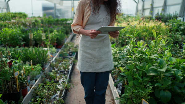 A woman in apron, employee of garden center, taking care of plants and doing check up at garden centre greenhouse.