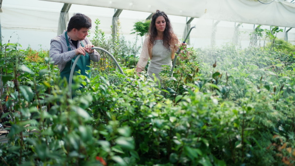 An experienced woman florist with young trainee employee with Down syndrome watering plants with a shower head and hose in garden centre.