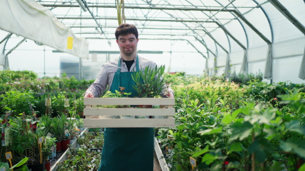 A young man with Down syndrome working in garden centre, carrying crate with plants.