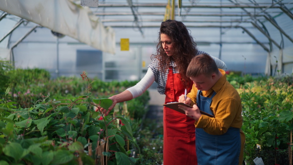 An experienced woman florist helping young employee with Down syndrome to check flowers in garden centre.