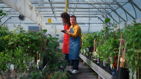 An experienced woman florist helping young employee with Down syndrome to check flowers on tablet in garden centre.