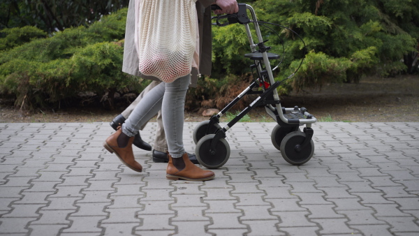 A lowsection of senior man with walking frame and adult daughter outdoors on a walk in park.