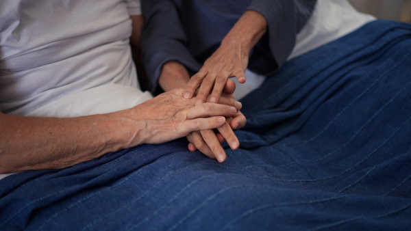 Close-up of senior couple holding and stroking each other hand.