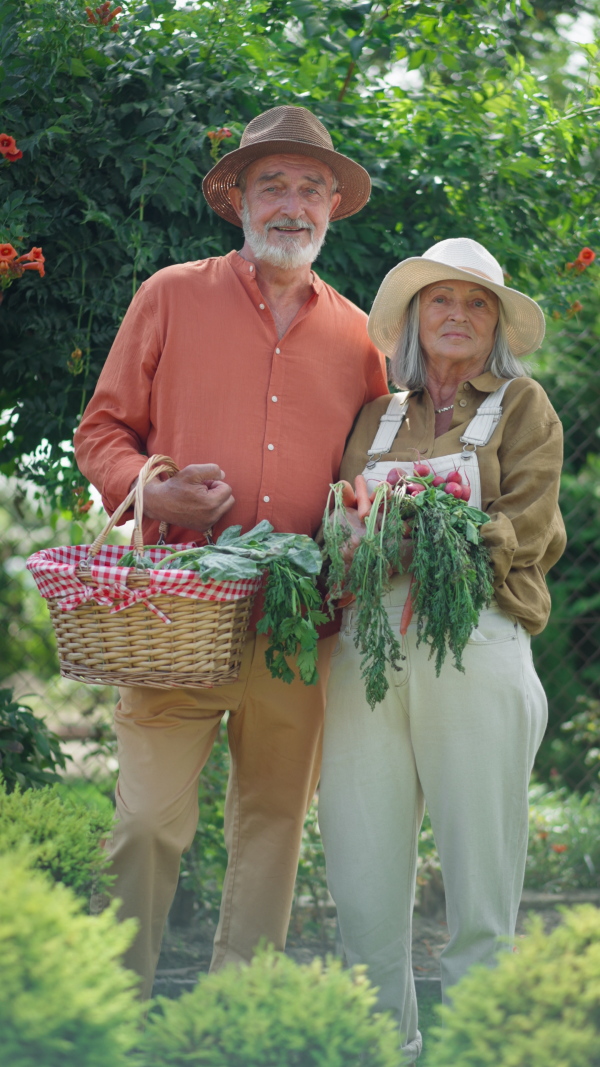 Portrait of happy senior couple in garden, holding vegetable harvest, looking into camera, smiling.