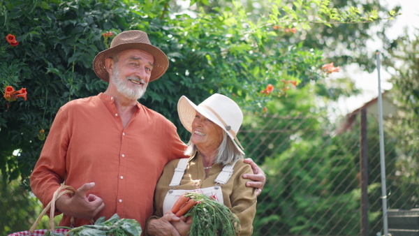 Portrait of happy senior couple in garden, holding vegetable harvest, looking into camera, smiling.