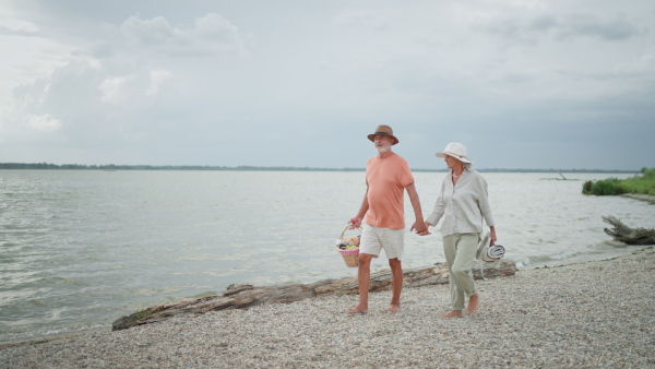 Elderly couple walking on beach, holding hands, smiling. Man carrying picnic basket.