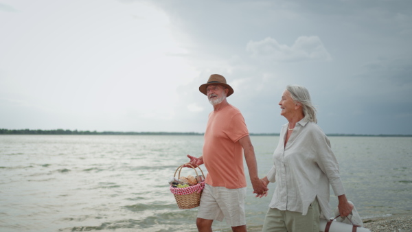 Elderly couple walking on beach, holding hands, smiling. Man carrying picnic basket.